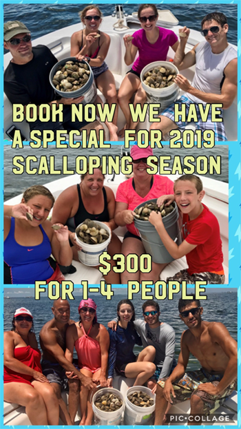 Scalloping Special 2019 1-4 people